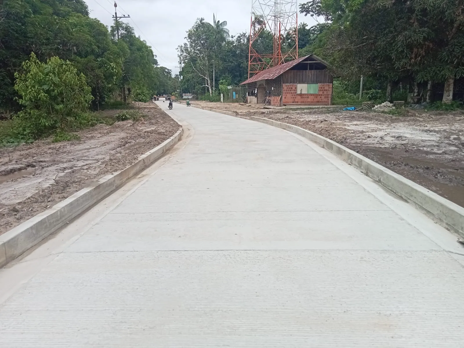 Mejoramiento y construcción de las vías terciarias de las comunidades Monillamena km 9 y Tacana km 11 del área rural del Municipio de Leticia, Departamento del Amazonas