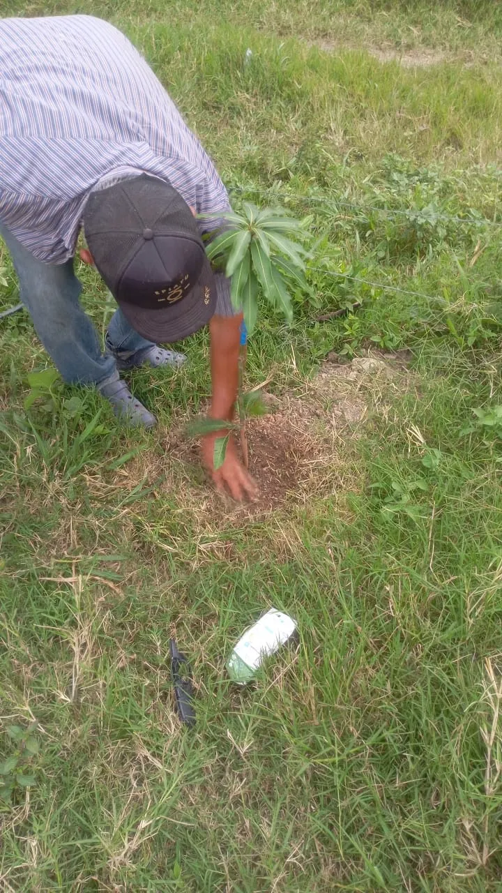 DISMINUIR EL DETERIORO DE ECOSISTEMAS FORESTALES EN LOS SECTORES DE LAS PAVAS Y SIERRA DE LOS BRITOS, EN EL CORREGIMIENTO DE POZO HONDO, CUENCA DEL RIO RANCHERÍA, MUNICIPIO DE BARRANCAS, LA GUAJIRA.