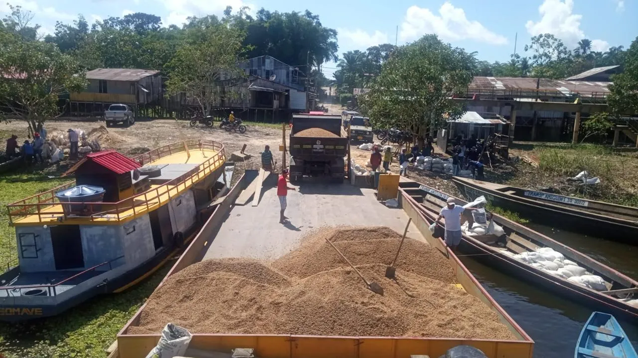 Construcción De Puente Peatonal En La Comunidad De La Playa Del Departamento De Amazonas